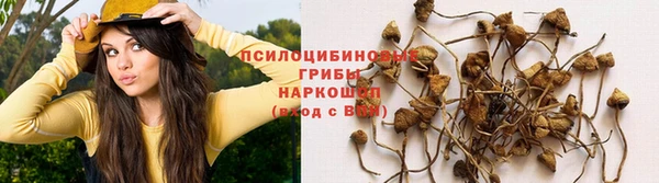 меф Арсеньев