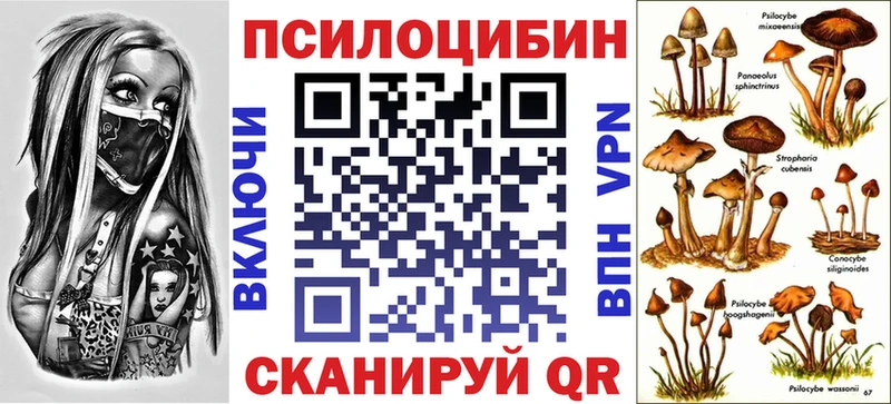 Псилоцибиновые грибы GOLDEN TEACHER  Кирово-Чепецк 