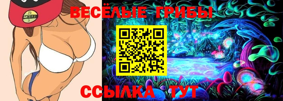 Галлюциногенные грибы Psilocybine cubensis  Псилоцибиновые грибы Cubensis  Кирово-Чепецк  Вход с VPN 