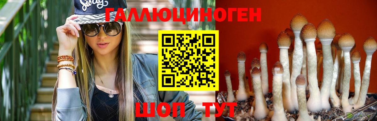 Псилоцибиновые грибы прущие грибы Кирово-Чепецк